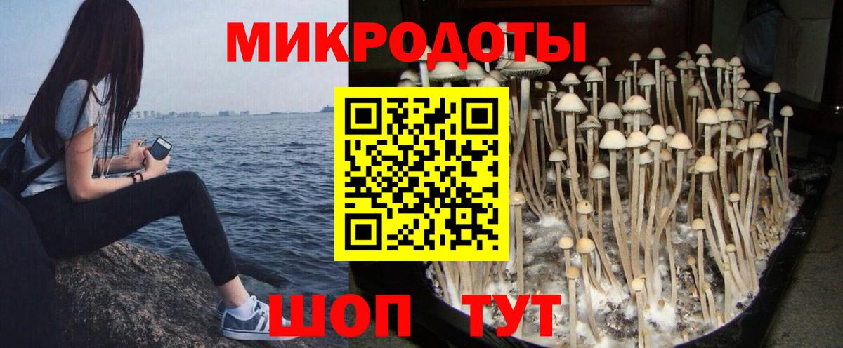 Клинцы  Галлюциногенные грибы Magic Shrooms  Вход с VPN 